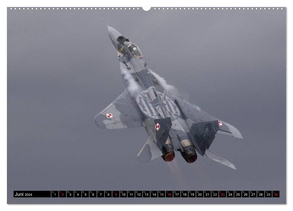 Augenblicke in der Luft: MiG-29 Fulcrum (CALVENDO Premium Wandkalender 2024)