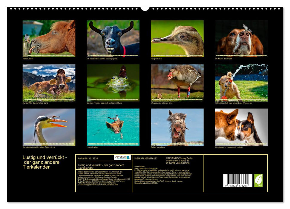 Funny and crazy - the completely different animal calendar (CALVENDO Premium Wall Calendar 2024) 