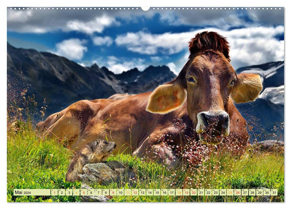 Funny and crazy - the completely different animal calendar (CALVENDO Premium Wall Calendar 2024) 