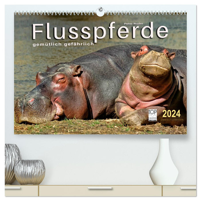 Hippos - cozy dangerous (CALVENDO Premium Wall Calendar 2024) 