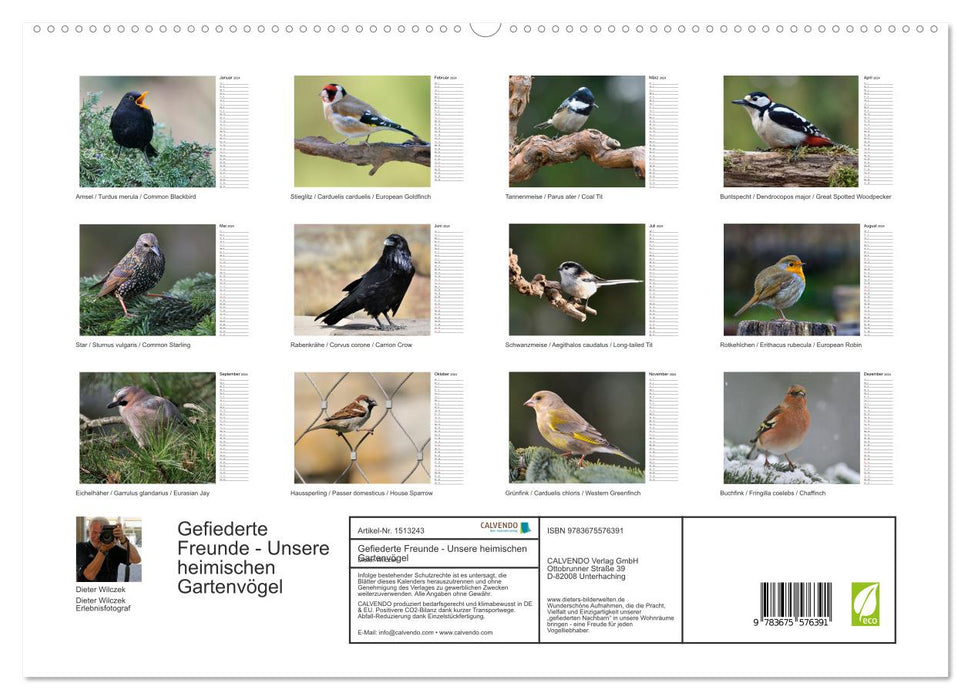 Feathered Friends - Our local garden birds (CALVENDO Premium Wall Calendar 2024) 