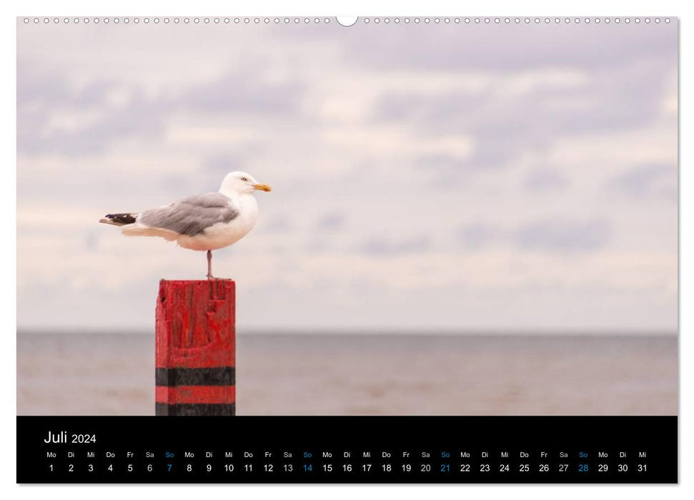Grüße aus Texel (CALVENDO Premium Wandkalender 2024)