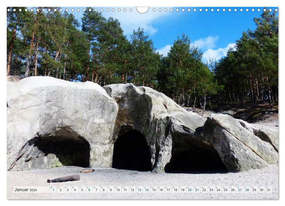 Blankenburg in the Harz (CALVENDO wall calendar 2024) 