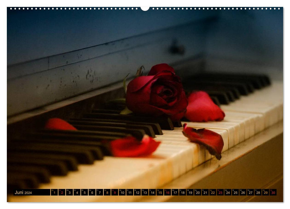 Piano fascinates (CALVENDO wall calendar 2024) 