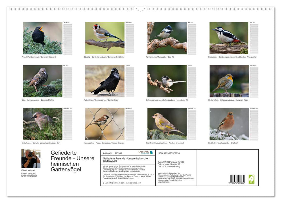 Gefiederte Freunde - Unsere heimischen Gartenvögel (CALVENDO Wandkalender 2024)