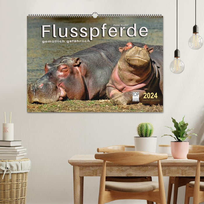 Hippos - cozy dangerous (CALVENDO wall calendar 2024) 