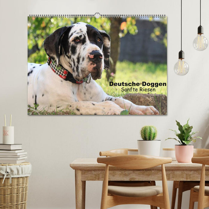 Deutsche Doggen - Sanfte Riesen (CALVENDO Wandkalender 2024)