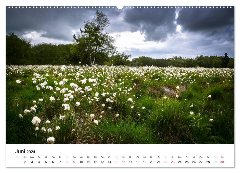 Naturerlebnis im Biosphärenreservat Rhön (CALVENDO Premium Wandkalender 2024)