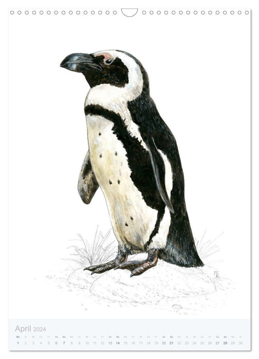 Pinguine - 13 Illustrationen (CALVENDO Wandkalender 2024)