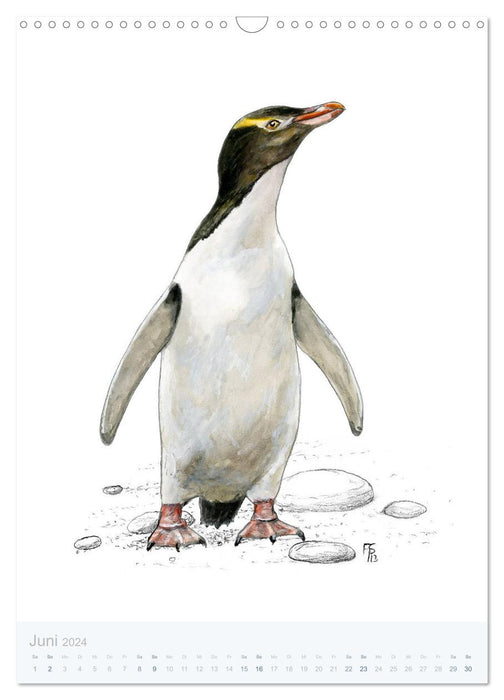 Pinguine - 13 Illustrationen (CALVENDO Wandkalender 2024)