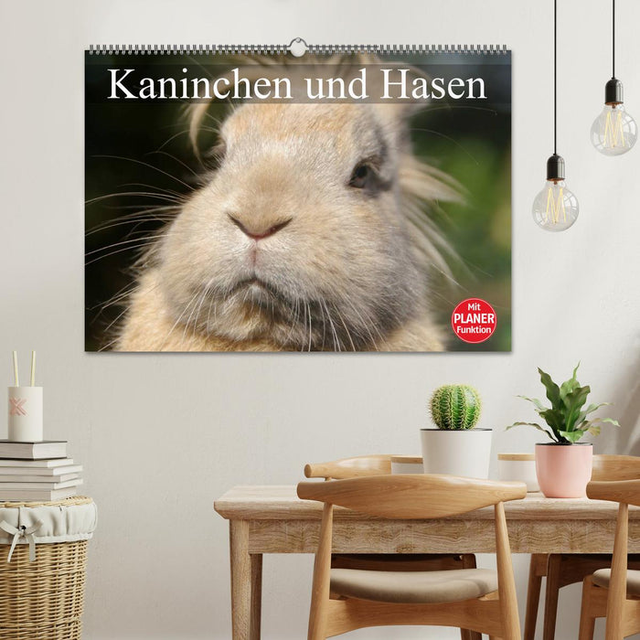 Kaninchen und Hasen (CALVENDO Wandkalender 2024)