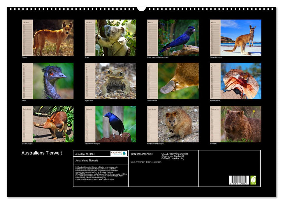 Australiens Tierwelt (CALVENDO Wandkalender 2024)