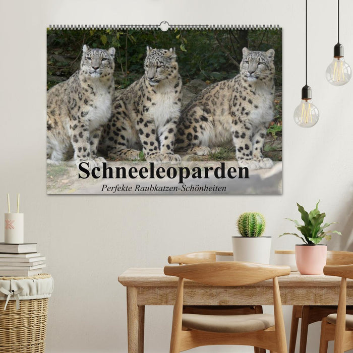 Schneeleoparden. Perfekte Raubkatzen-Schönheiten (CALVENDO Wandkalender 2024)