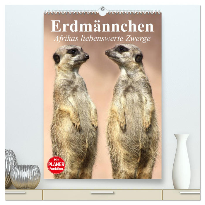 Suricates - Les adorables nains d'Afrique (Calvendo Premium Wall Calendar 2024) 