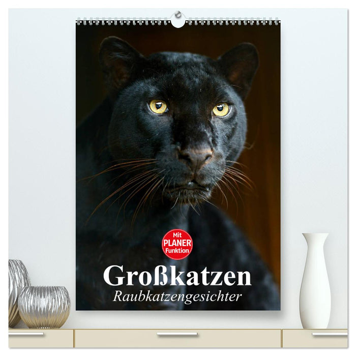 Gros chats. Visages de grands chats (Calendrier mural CALVENDO Premium 2024) 