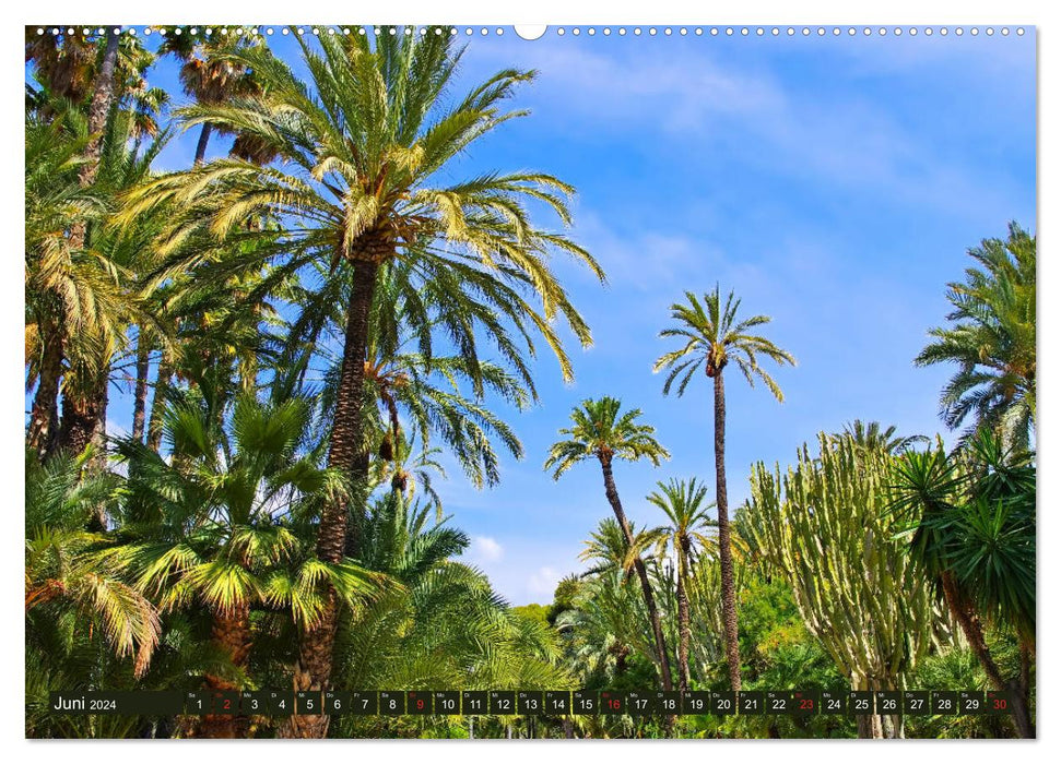 Costa Blanca - La côte blanche de l'Espagne (Calendrier mural CALVENDO 2024) 