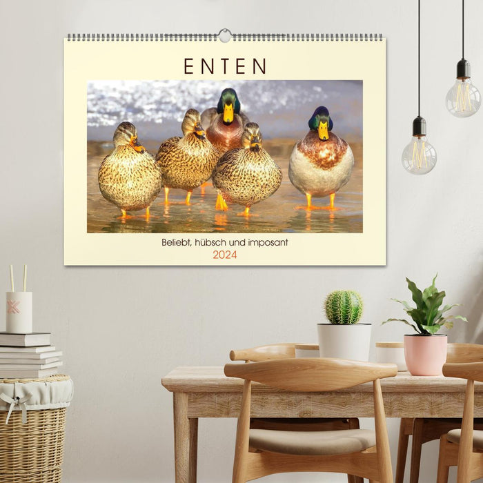 Ducks. Popular, pretty and impressive (CALVENDO wall calendar 2024) 