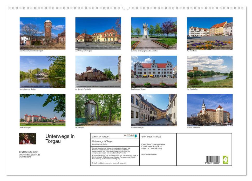 Out and about in Torgau (CALVENDO wall calendar 2024) 