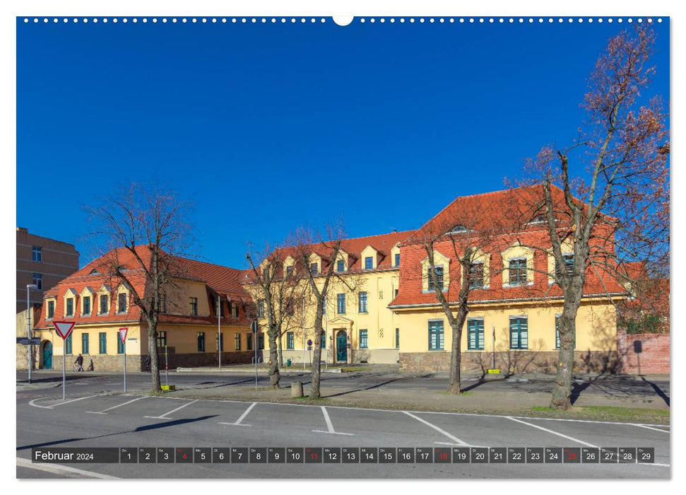 Out and about in Torgau (CALVENDO wall calendar 2024) 