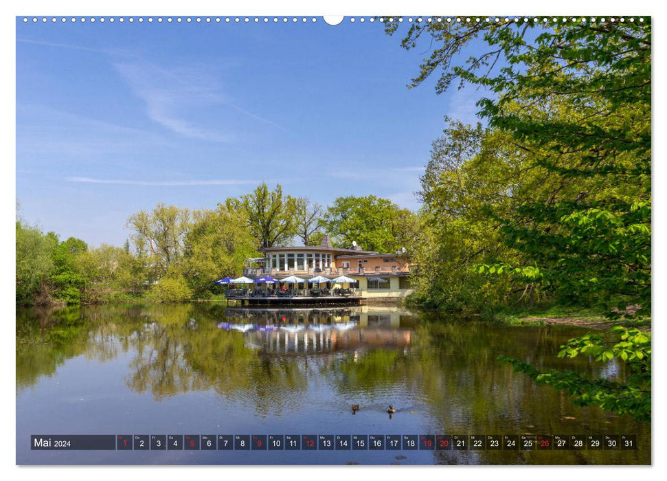 Out and about in Torgau (CALVENDO wall calendar 2024) 