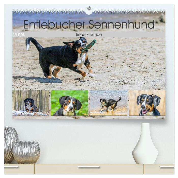 Entlebucher Sennenhund - treue Freunde (CALVENDO Premium Wandkalender 2024)