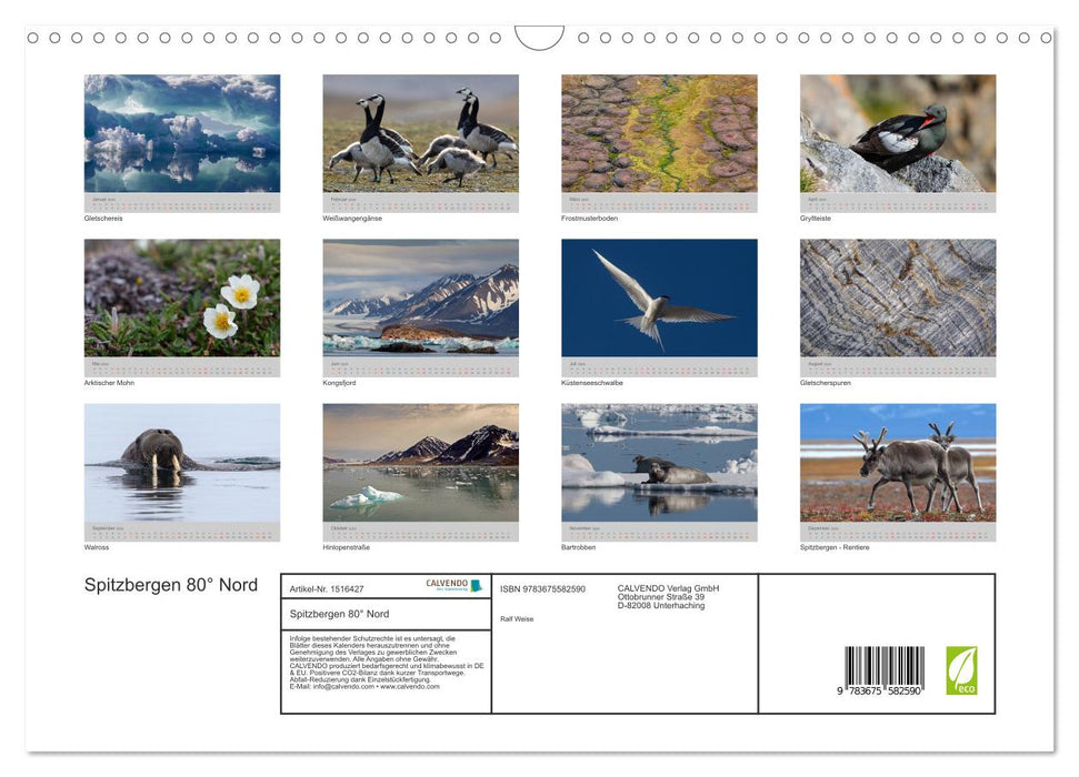 Spitsbergen 80° North (CALVENDO wall calendar 2024) 