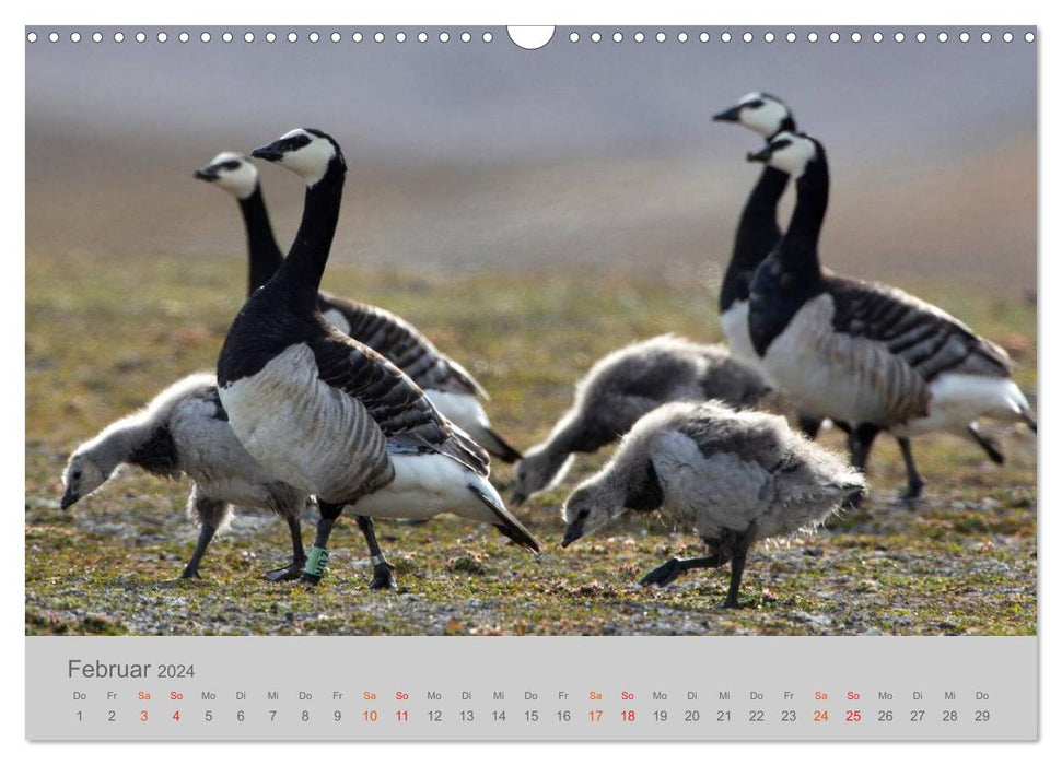 Spitsbergen 80° North (CALVENDO wall calendar 2024) 