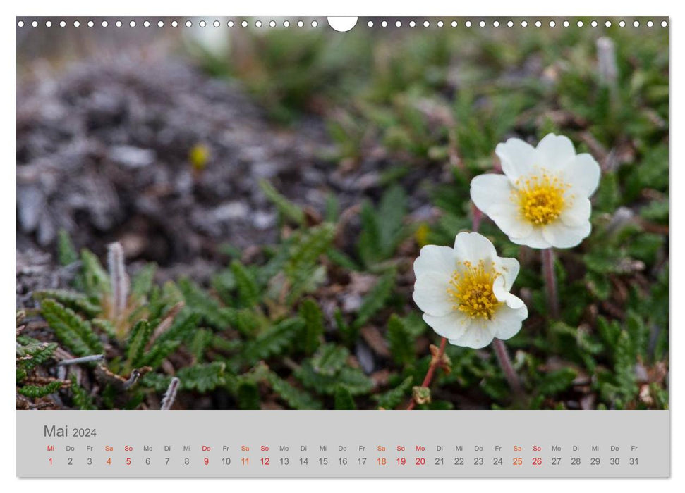 Spitsbergen 80° North (CALVENDO wall calendar 2024) 