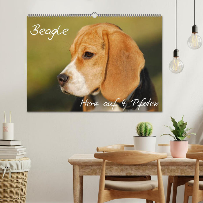 Beagle - heart on 4 paws (CALVENDO wall calendar 2024) 