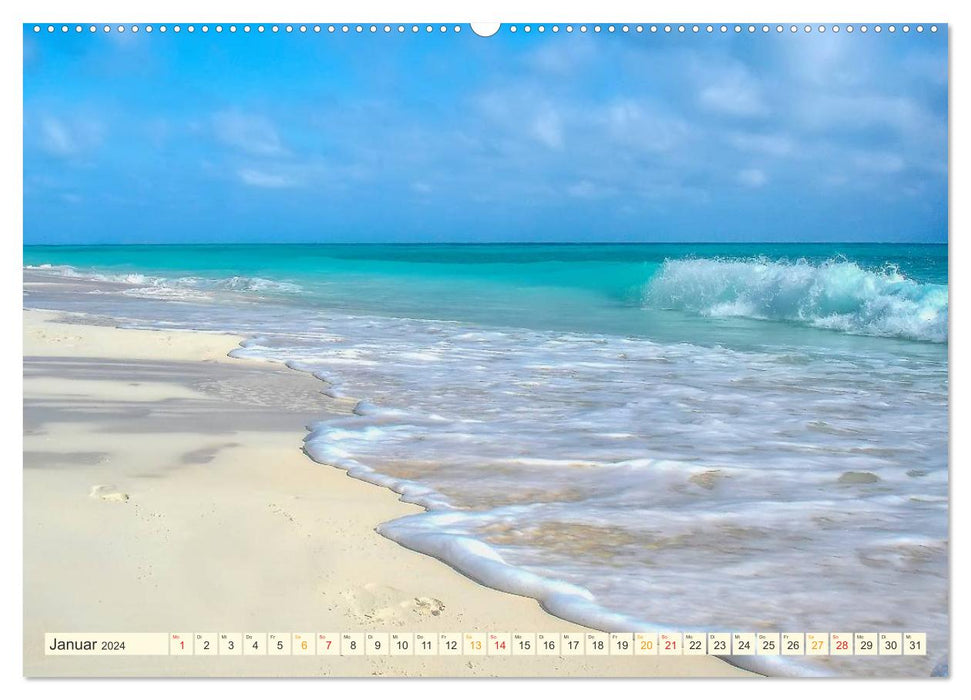 Beaches like a dream (CALVENDO wall calendar 2024) 