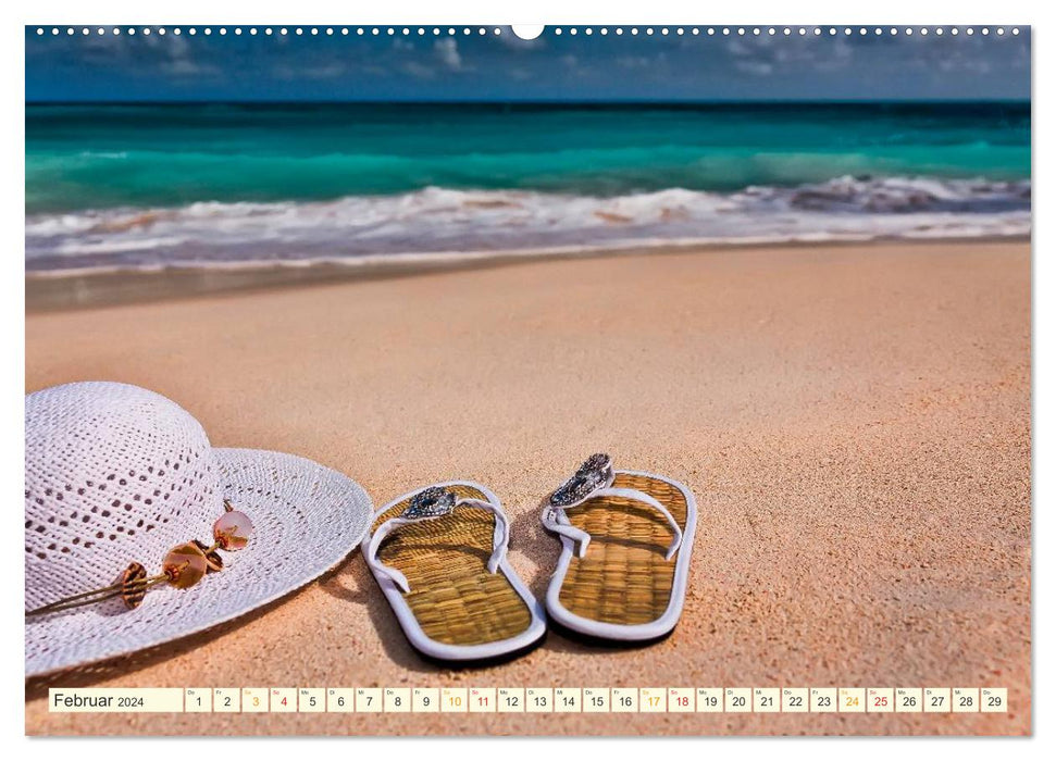 Beaches like a dream (CALVENDO wall calendar 2024) 