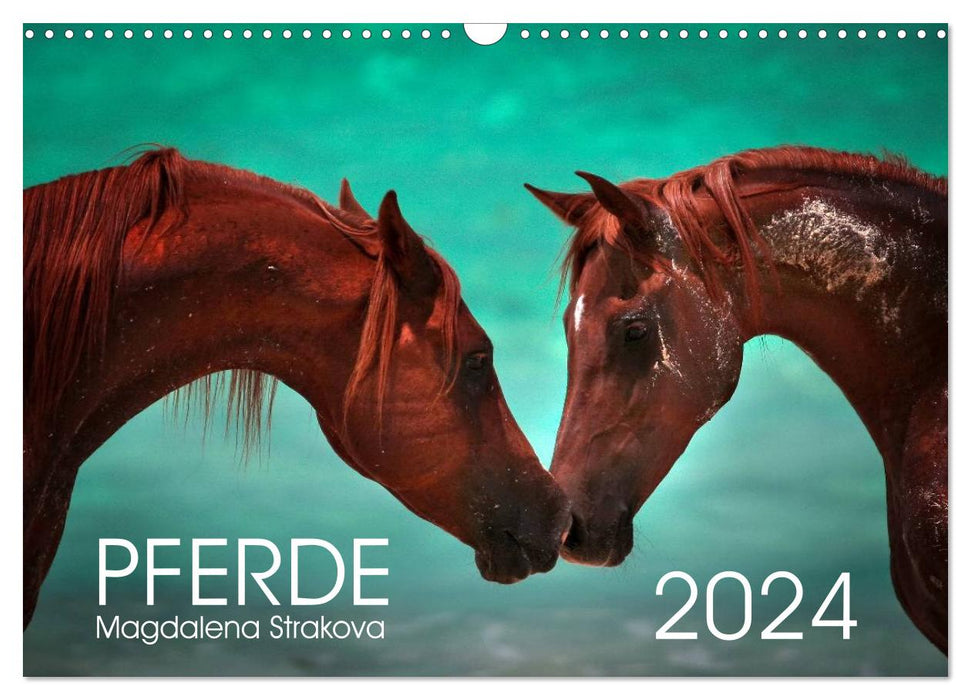 Horses - Magdalena Strakova (CALVENDO wall calendar 2024) 