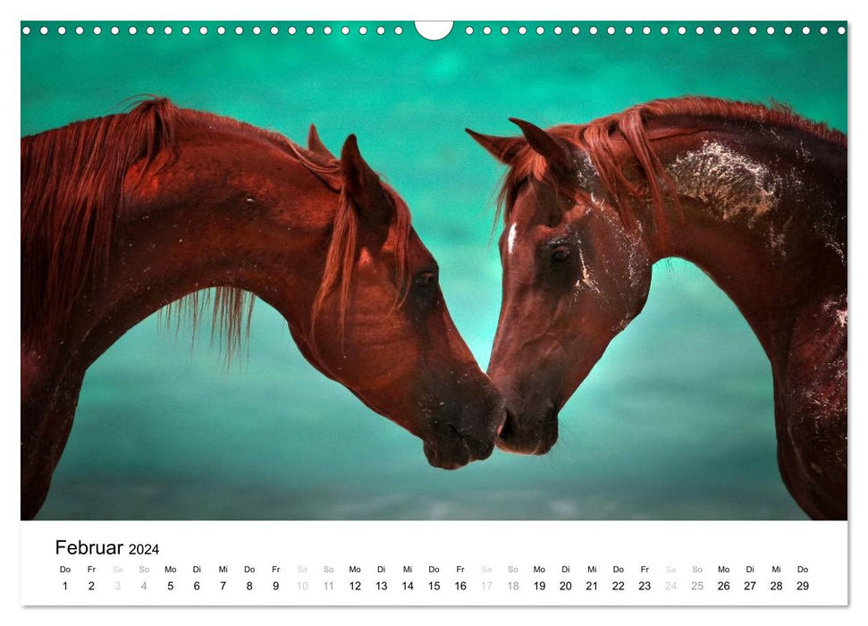 Horses - Magdalena Strakova (CALVENDO wall calendar 2024) 