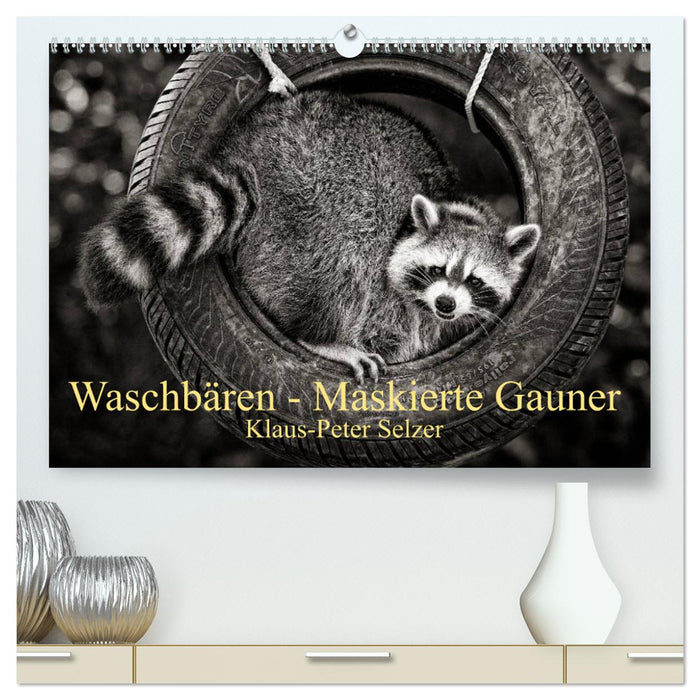 Waschbären - Maskierte Gauner (CALVENDO Premium Wandkalender 2024)