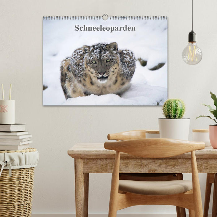 Snow leopards (CALVENDO wall calendar 2024) 