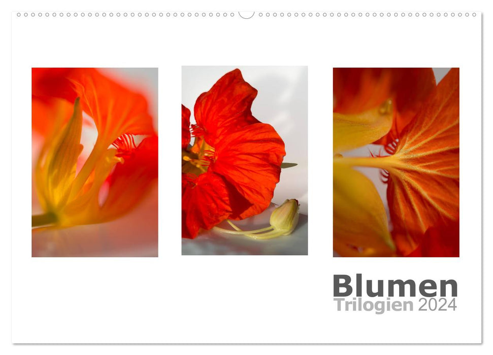 Blumen Trilogien (CALVENDO Wandkalender 2024)