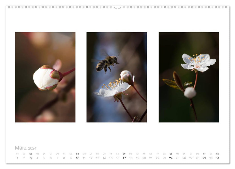 Blumen Trilogien (CALVENDO Wandkalender 2024)