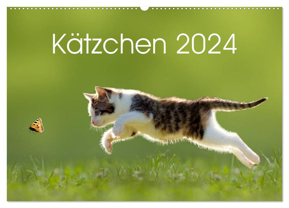 Kätzchen 2024 (CALVENDO Wandkalender 2024)