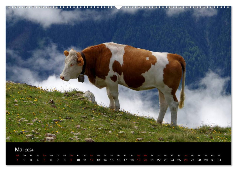 Im Tauferer Ahrntal in Südtirol (CALVENDO Wandkalender 2024)