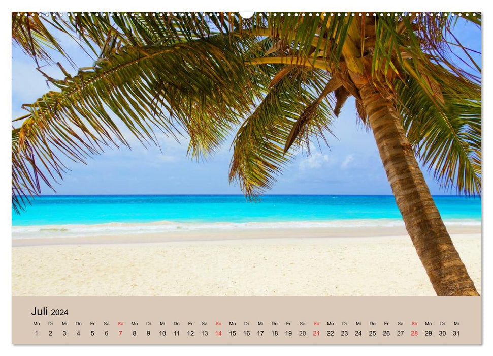 Brasilien. Impressionen (CALVENDO Premium Wandkalender 2024)