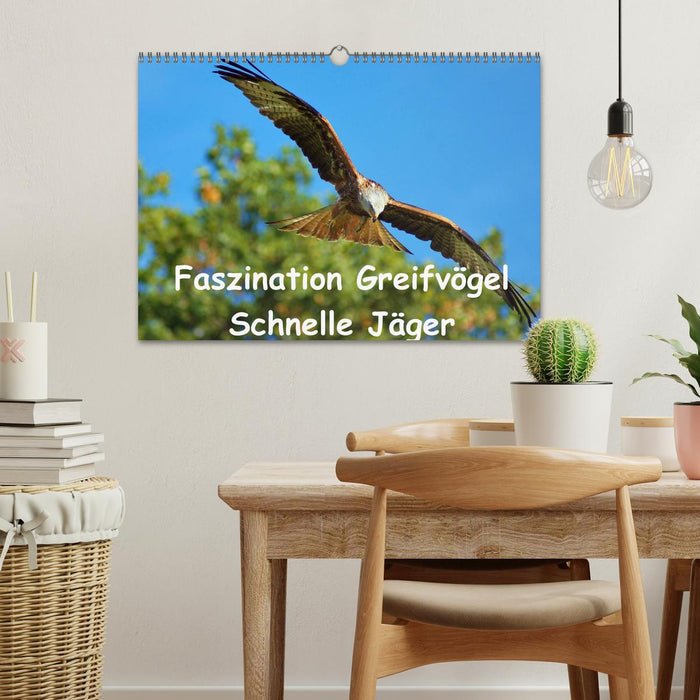 Faszination Greifvögel Schnelle Jäger (CALVENDO Wandkalender 2024)