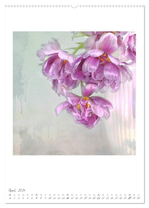 Flower Dreams (CALVENDO Premium Wandkalender 2024)