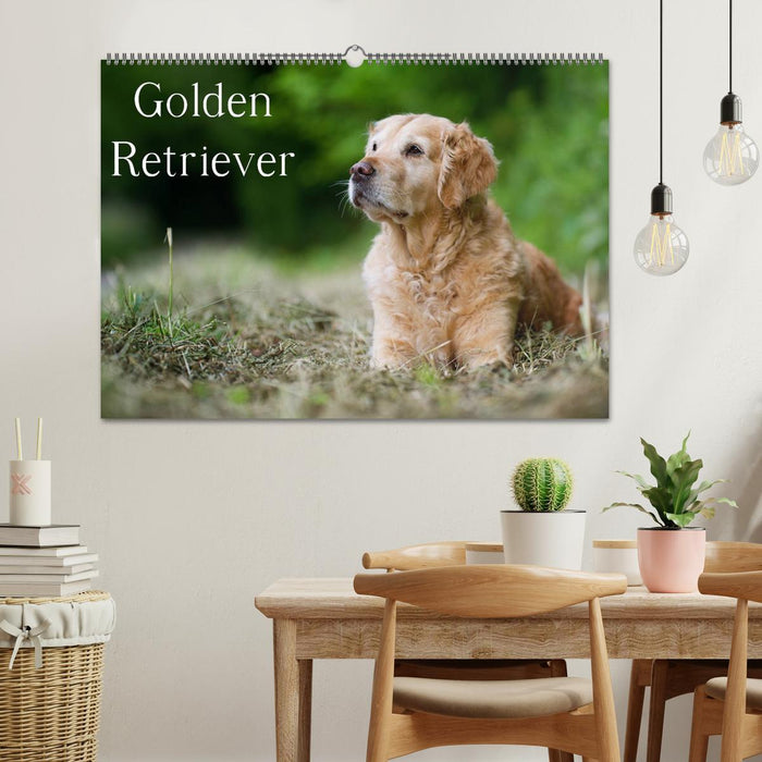 Golden Retriever (CALVENDO Wandkalender 2024)