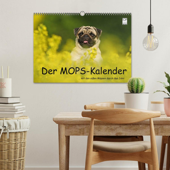 Der MOPS-Kalender (CALVENDO Wandkalender 2024)