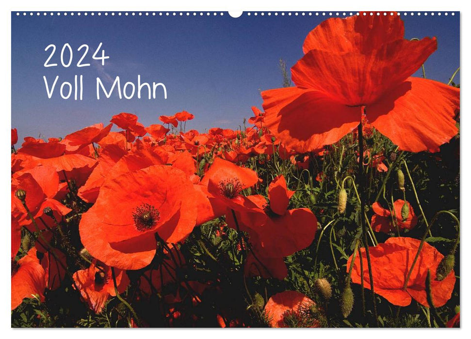 Voll Mohn (CALVENDO Wandkalender 2024)