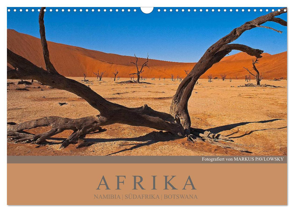 Afrika Impressionen. NAMIBIA - SÜDAFRIKA - BOTSWANA (CALVENDO Wandkalender 2024)