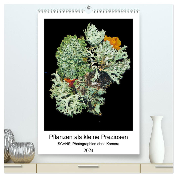 Pflanzen als kleine Preziosen (CALVENDO Premium Wandkalender 2024)