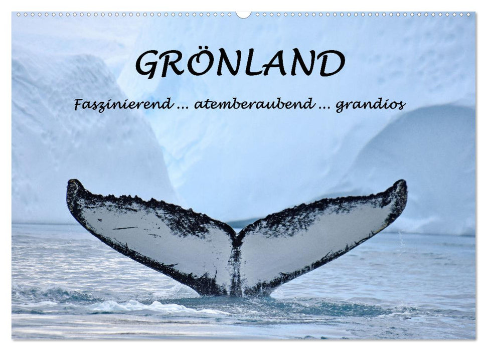 Grönland Faszinierend atemberaubend grandios (CALVENDO Wandkalender 2024)