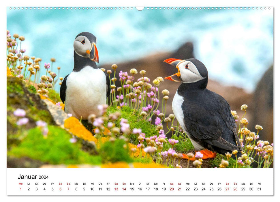 Irland - Malerische Landschaften (CALVENDO Premium Wandkalender 2024)