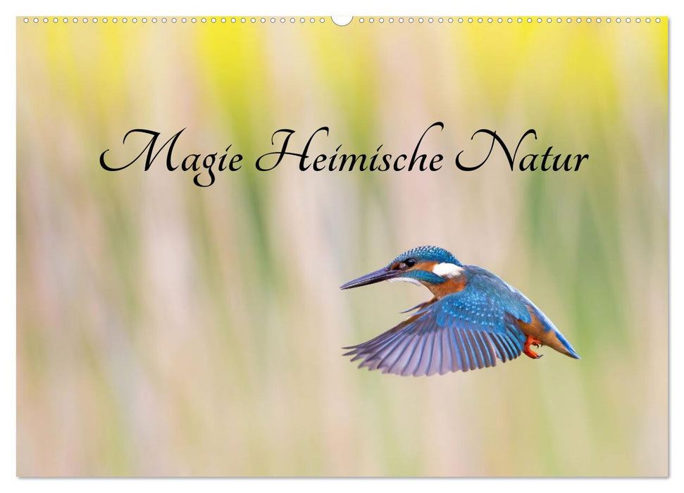 Magie Heimische Natur (CALVENDO Wandkalender 2024)